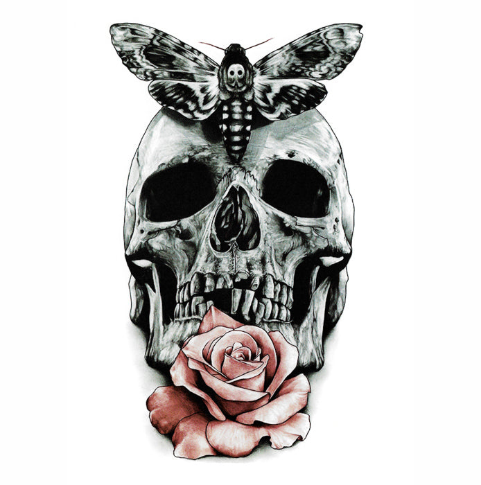 Skull butterfly tattoo style drawing illustration Stock Vector  Adobe  Stock